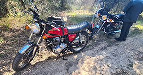 Camargue Alpilles 2025